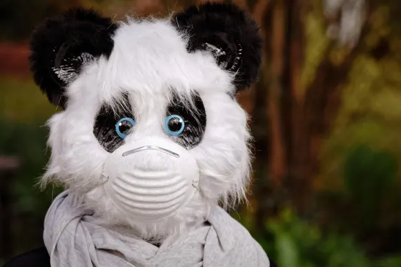 Cyber Bingo Casino Support